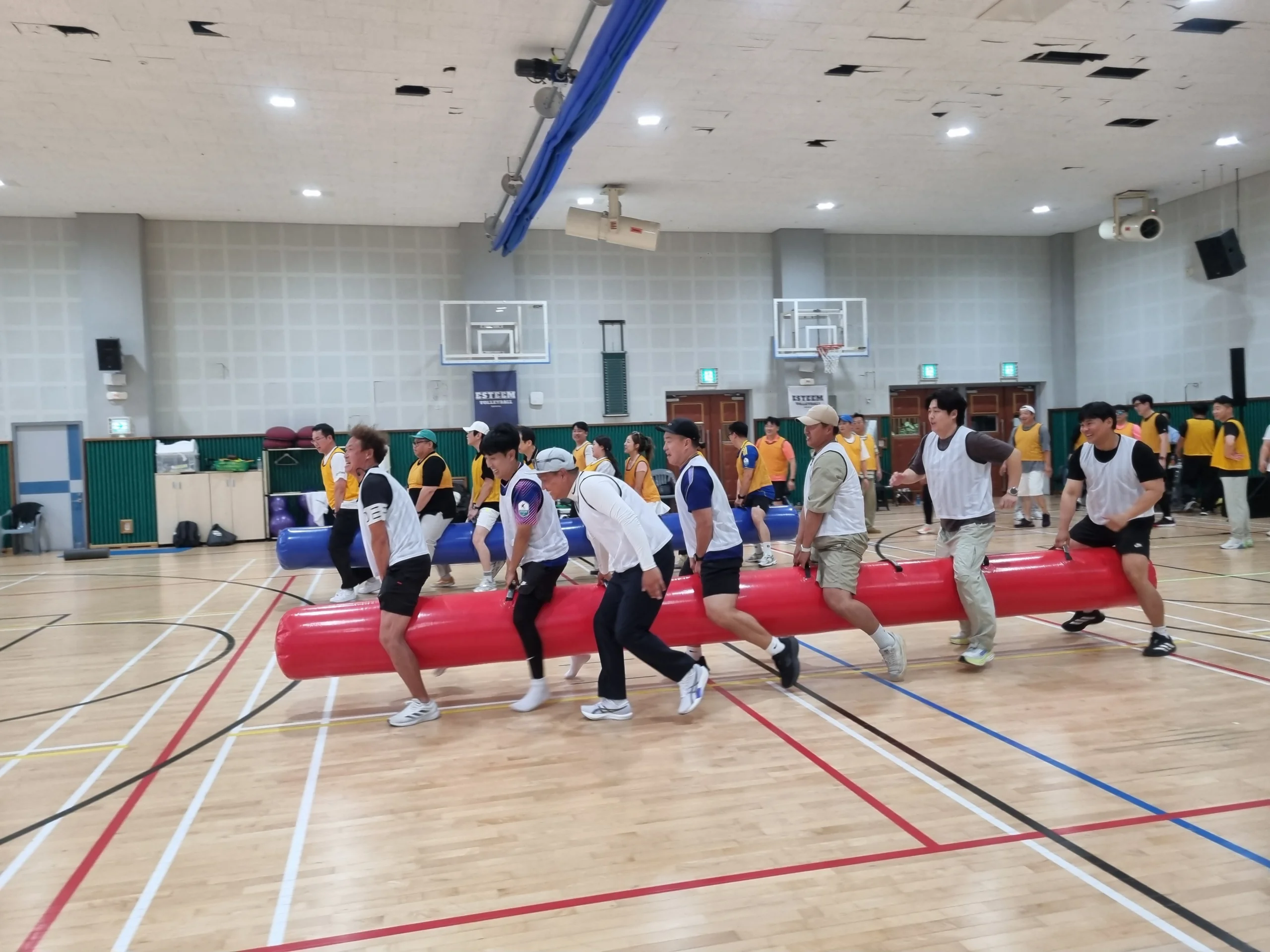 체육관 바닥에 줄지어 선 단체 사진, 실내 전경